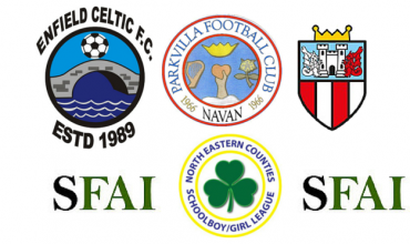 NECSL SFAI (1)