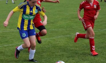 ntc v bgbfc
